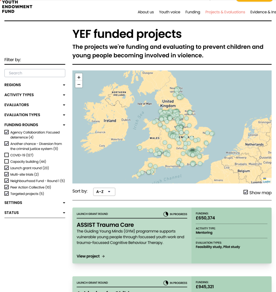 A screenshot of the YEF's Funded Projects webpage